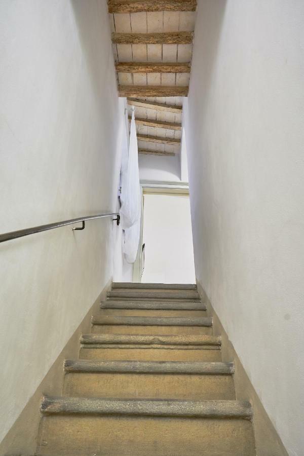 Casa Laurentius بيزا المظهر الخارجي الصورة